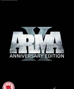 Купить ARMA X: Anniversary Edition PC (Steam)