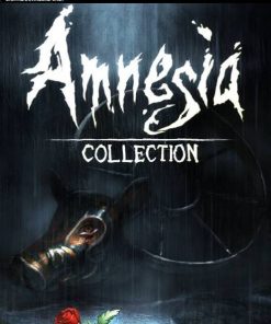 Купить Amnesia Collection Steam PC (Steam)