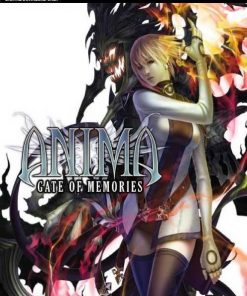 Купить Anima Gate of Memories PC (Steam)