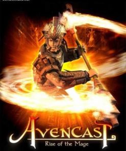 Купить Avencast Rise of the Mage PC (Steam)