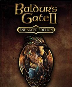 Купить Baldur's Gate II Enhanced Edition PC (Steam)