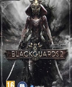 Acheter Blackguards 2 PC (Steam)