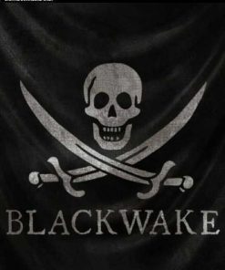 Купить Blackwake PC (Steam)