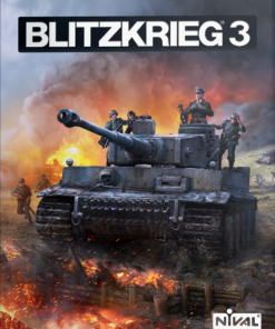 Купить Blitzkrieg 3 PC (Steam)