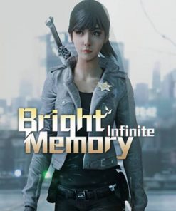 Купить Bright Memory: Infinite PC (Steam)
