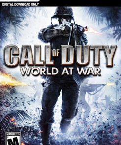 Купить Call of Duty (COD) World at War PC (Steam)