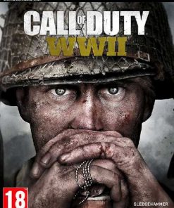 Купить Call of Duty WWII PC (EU & UK) (Steam)