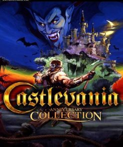 Купить Castlevania Anniversary Collection PC (Steam)