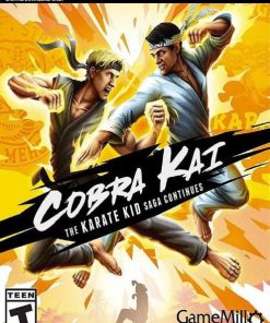 Купить Cobra Kai: The Karate Kid Saga Continues PC (Steam)