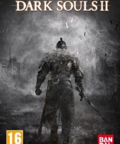 Купить Dark Souls II 2 PC (Steam)