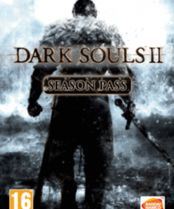 Купить Dark Souls II 2 Season Pass PC (Steam)
