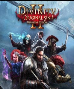Купить Divinity: Original Sin 2 - Definitive Edition PC (GOG)