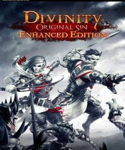 Купить Divinity: Original Sin - Enhanced Edition PC (GOG)