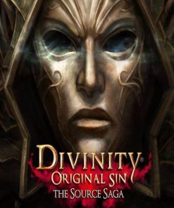 Divinity: Original Sin - The Source Saga PC (GOG) сатып алыңыз