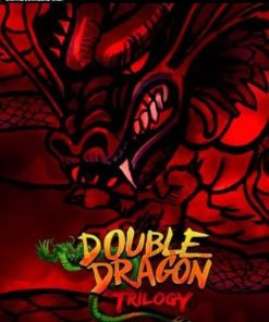 Купить Double Dragon Trilogy PC (Steam)