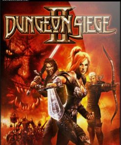 Купить Dungeon Siege 2 PC (Steam)