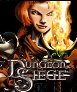 Купить Dungeon Siege  PC (Steam)
