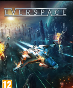 Купить Everspace PC (Steam)