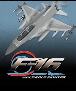 Купить F-16 Multirole Fighter PC (Steam)