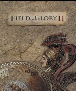 Купить Field of Glory II PC (Steam)