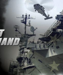 Fleet Command PC kaufen (Steam)