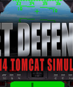 Купить Fleet Defender The F14 Tomcat Simulation PC (Steam)