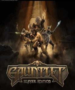 Kup Gauntlet Slayer Edition na PC (Steam)