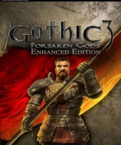 Купить Gothic 3 Forsaken Gods Enhanced Edition PC (Steam)