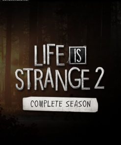 Kup cały sezon Life Is Strange 2 na PC (Steam)
