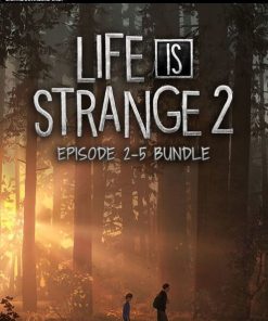 Купить Life is Strange 2 - Episodes 2-5 Bundle PC (Steam)