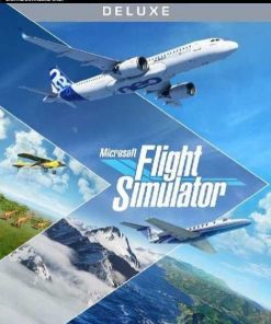 Купить Microsoft Flight Simulator Deluxe Edition PC (Steam) (Steam)