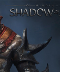 Compre Middle-Earth Shadow of Mordor Berserks Warband PC (Steam)