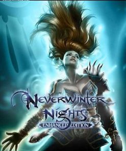 Купить Neverwinter Nights: Enhanced Edition PC (Steam)