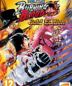 Купить One Piece Burning Blood Gold Edition PC (Steam)