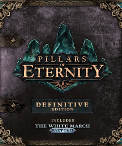 Acheter Pillars of Eternity - Definitive Edition PC (Steam)