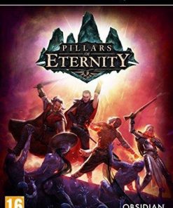 Купить Pillars of Eternity - Hero Edition PC (Steam)