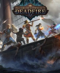 Купить Pillars of Eternity II: Deadfire PC (Steam)
