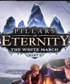 Купить Pillars of Eternity - The White March Part 1 PC (Steam)