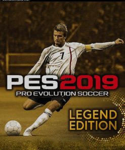 Купить Pro Evolution Soccer (PES) 2019 Legend Edition PC (Steam)