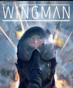 Купить Project Wingman PC (Steam)