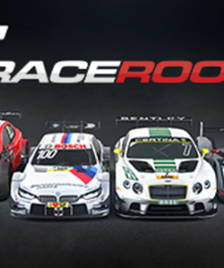 Купить RaceRoom Racing Experience PC (Steam)