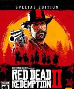 Купить Red Dead Redemption 2 - Special Edition PC + DLC (Rockstar Social Club)