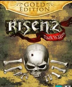 Купить Risen 2: Dark Waters Gold Edition PC (Steam)