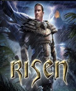 Купить Risen PC (Steam)