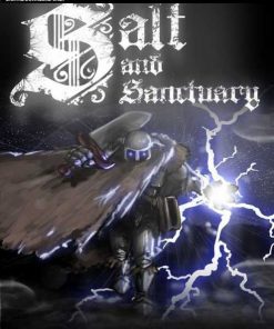 Купить Salt and Sanctuary PC (Steam)