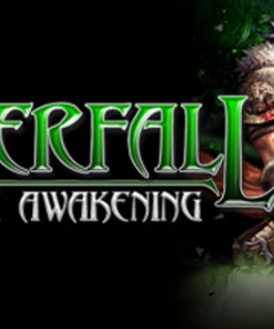 Купить Silverfall Earth Awakening PC (Steam)