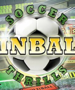 Купить Soccer Pinball Thrills PC (Steam)