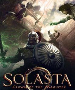Купить Solasta: Crown of the Magister PC (Steam)