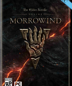 Купить The Elder Scrolls Online - Morrowind Upgrade PC + DLC (The Elder Scrolls Online)