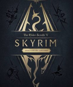 Купить The Elder Scrolls V: Skyrim Anniversary Edition PC (Steam)